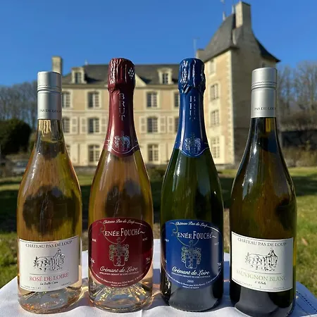 Prázdninový dům Chateau Pas De Loup